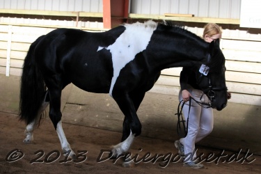 Kat.-16-Chubert