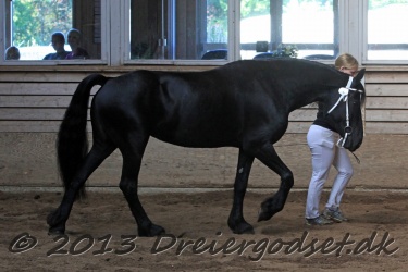 Kat.-2---Wendalina