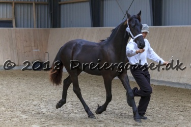 Kat.Nr. 4 - Hector Barock-West