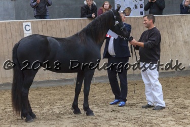 Kat. Nr, 6 - Gaia Barock-West