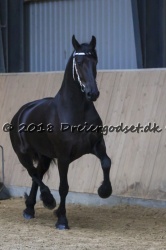 Kat. Nr. 9 - Madelon Fan Teakesyl