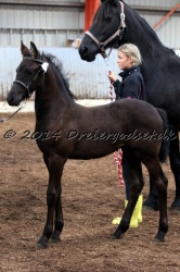 Kat.-10---Elisia-Barock-West