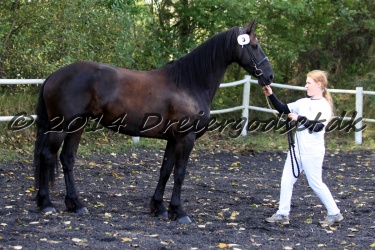 Kat.-3---Zita-Fan-De-Deen