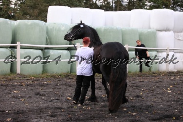 Kat.-8---Black-Javall