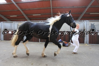 Kat  6   Spirit s N Liberty