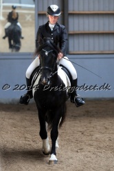Kat. Nr. 10 - IBOB Ridetest - Constantijn BP18