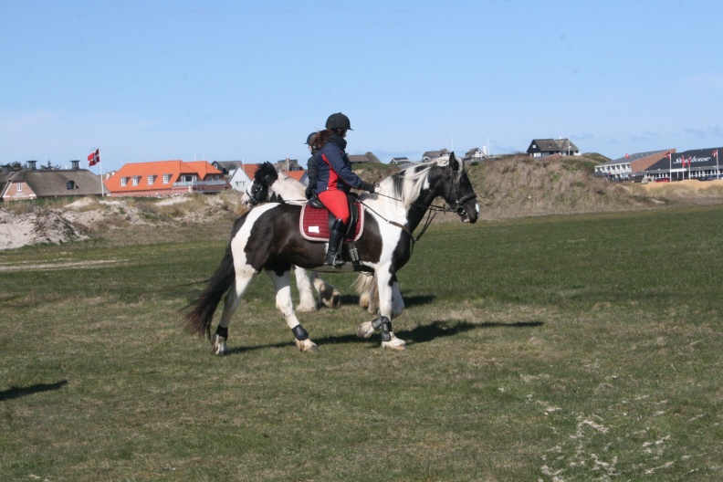 IMG_6361.JPG