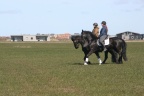 IMG 6371
