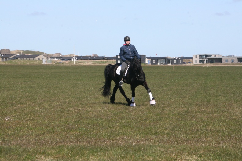IMG_6393.JPG