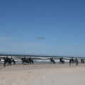 IMG 6412