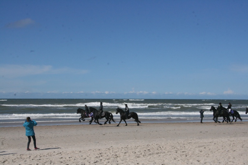 IMG_6413.JPG