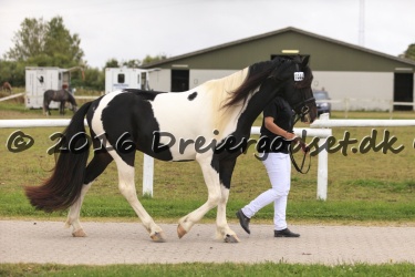 Kat.-nr.-44---Obelix-Fan-Thorum