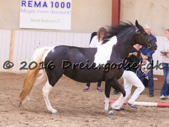 Kat.-nr.-46---Angelien-Doortj-E-F-Stalde-Barok