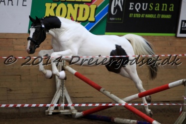 Kat.-9---Laurbergs-Maundy-Magic