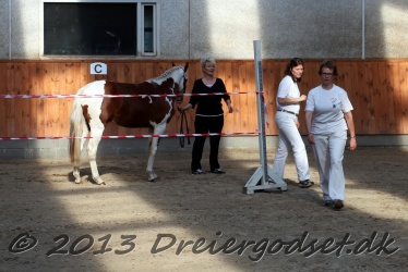 Lidt-blandet-fra-begge-dage