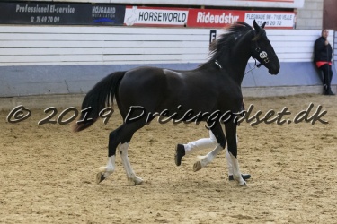Kat.-40---Andande-Lerchely---Barok-Pinto