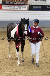 Kat.-Nr-20---Golando-Hoejgaard---Sportstype-pony
