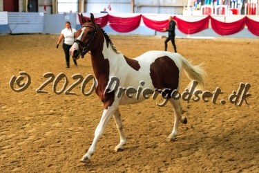Barcardi Breezer 041
