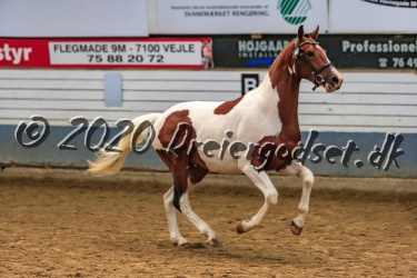 Barcardi Breezer 047