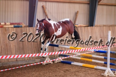 Sunny Boy Junior 017