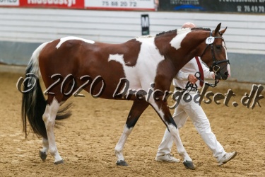 Sunny Boy Junior 026
