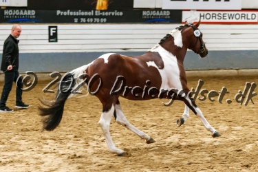Sunny Boy Junior 050