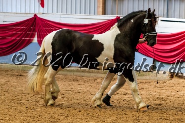 Lazaro Af Kashede 024