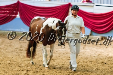 Vidtskue  s  Filly 001