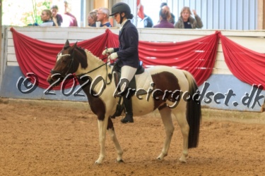 Kat  Nr 71     sters Hollyday