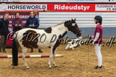 sters Hollyday 038