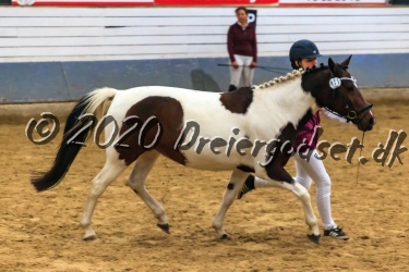sters Hollyday 041