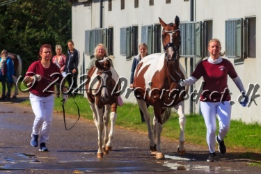 Gaasdal  s Jasmin