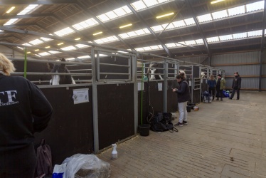 Tinkerk  ring April 19