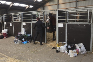 Tinkerk  ring April 19 001