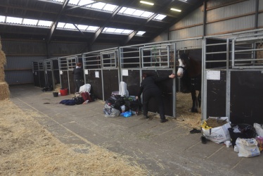 Tinkerk  ring April 19 002