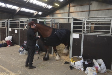 Tinkerk  ring April 19 003