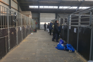 Tinkerk  ring April 19 004