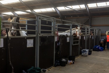 Tinkerk  ring April 19 005