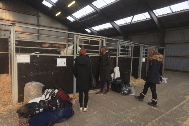 Tinkerk  ring April 19 009