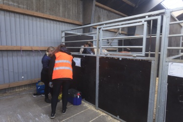 Tinkerk  ring April 19 010