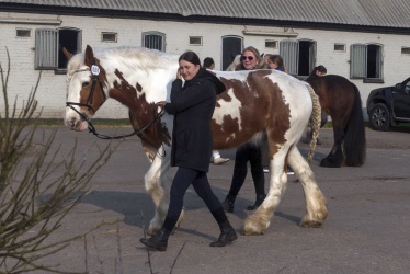 Tinkerk  ring April 19 011