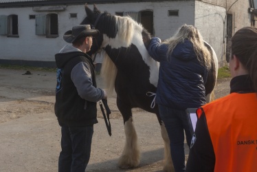 Tinkerk  ring April 19 013