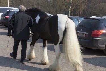 Tinkerk  ring April 19 014