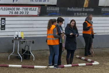 Tinkerk  ring April 19 015