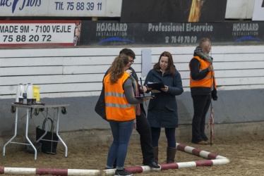 Tinkerk  ring April 19 016