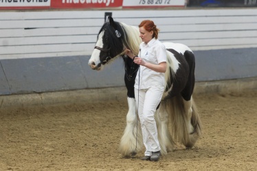 Tinkerk  ring April 19 017