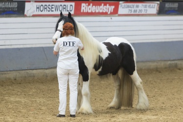 Tinkerk  ring April 19 018