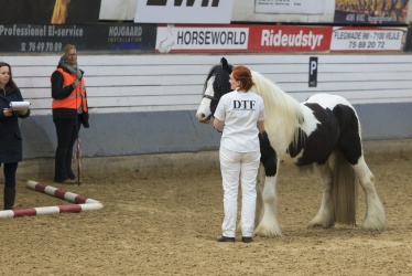 Tinkerk  ring April 19 019