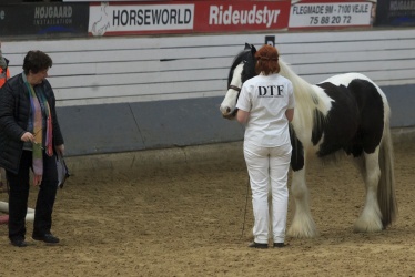 Tinkerk  ring April 19 021