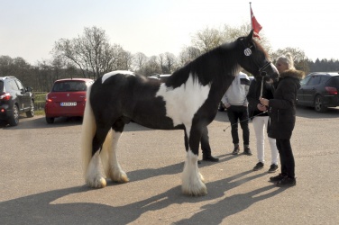 Tinkerk  ring April 19 029